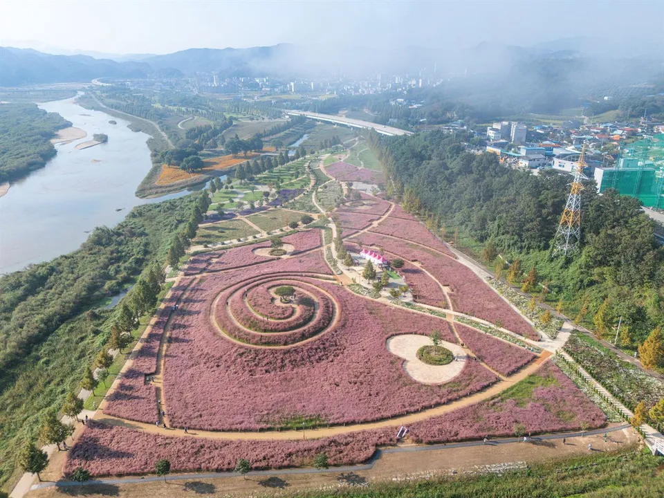 新昭陽體育公園 — 沿河 펼開的粉黛亂子草公園空拍全景（2025年10月）