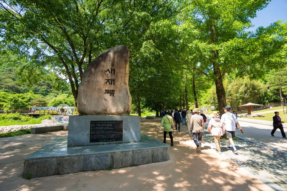 聞慶鳥嶺道立公園 — 樹蔭步道與鳥嶺標石（2024年5月）