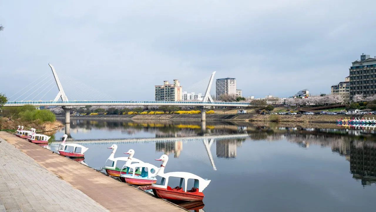 東村遊園地 — 停泊在錦湖江畔的鴨船與橋樑（2025年3月）（照片：韓國觀光公社觀光照片庫・攝影 한국관광공사 김지호・公共授權第1類）