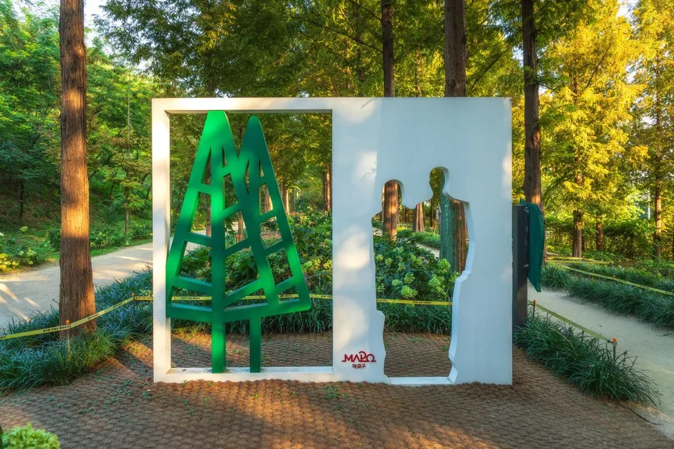 世界盃公園 — 落羽松林中的雕塑與步道（2024年9月）