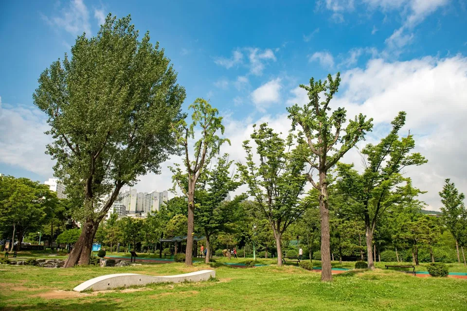 和平公園 — 樹木與草坪相映成趣的公園景色（2020年）