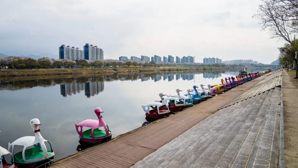 東村遊園地 — 排列在河畔的鴨船與散步道（2025年3月）