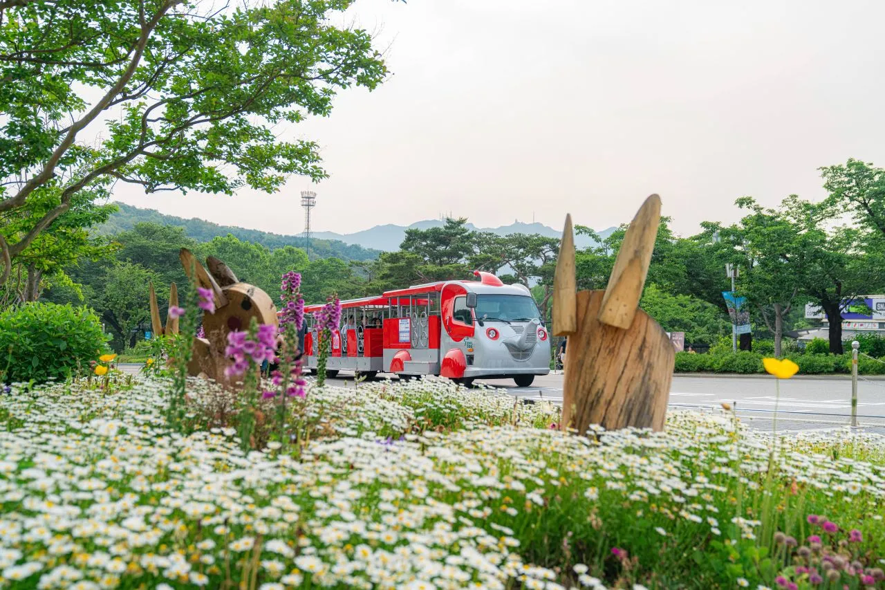 首爾大公園 — 花田另一側的首爾大公園環形列車與山景（2025年6月）（照片：韓國觀光公社觀光照片庫・攝影 김지연・公共授權第1類）