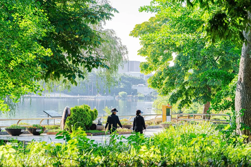 一山湖水公園 — 湖畔步道與水岸風景（2025年8月）
