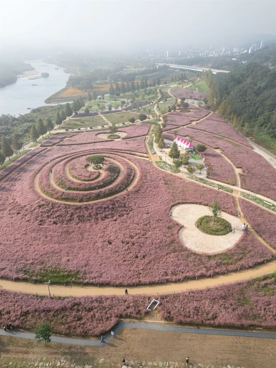 新昭陽體育公園 — 粉黛亂子草花園與河畔公園的空拍景色（2025年10月）（照片：韓國觀光公社觀光照片庫・攝影 이환우・公共授權第1類）