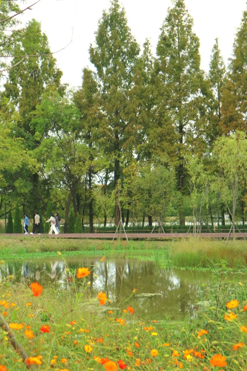 水原 日月樹木園（수원 일월수목원） — 花田與池塘旁的步道（2023年9月）