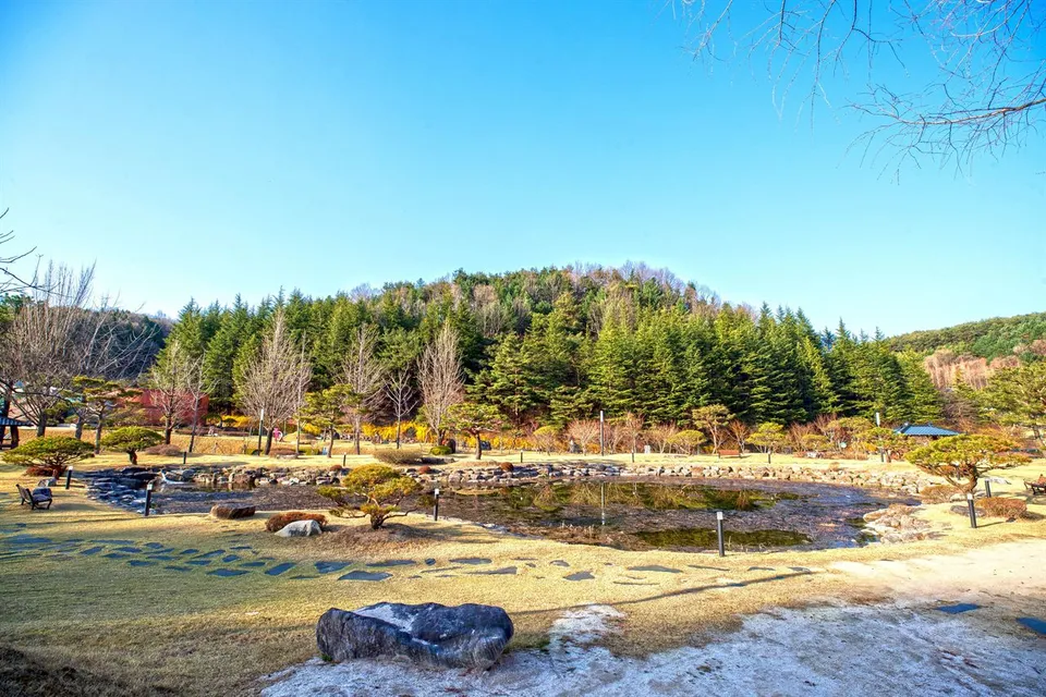 直指文化公園 — 森林中的池塘與庭園景色（2021年3月）