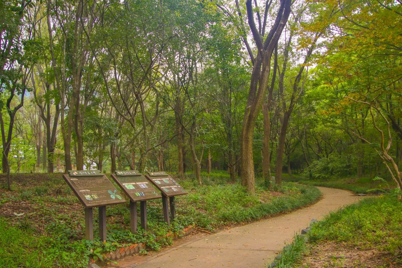 大邱樹木園 — 設有導覽牌的茂密森林小徑(2023年9月)(照片:韓國觀光公社觀光照片庫・攝影 김지영・公共授權第1類)