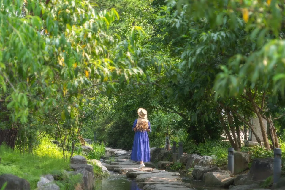 洗美苑 — 樹林間的石徑散步道（2024年7月）