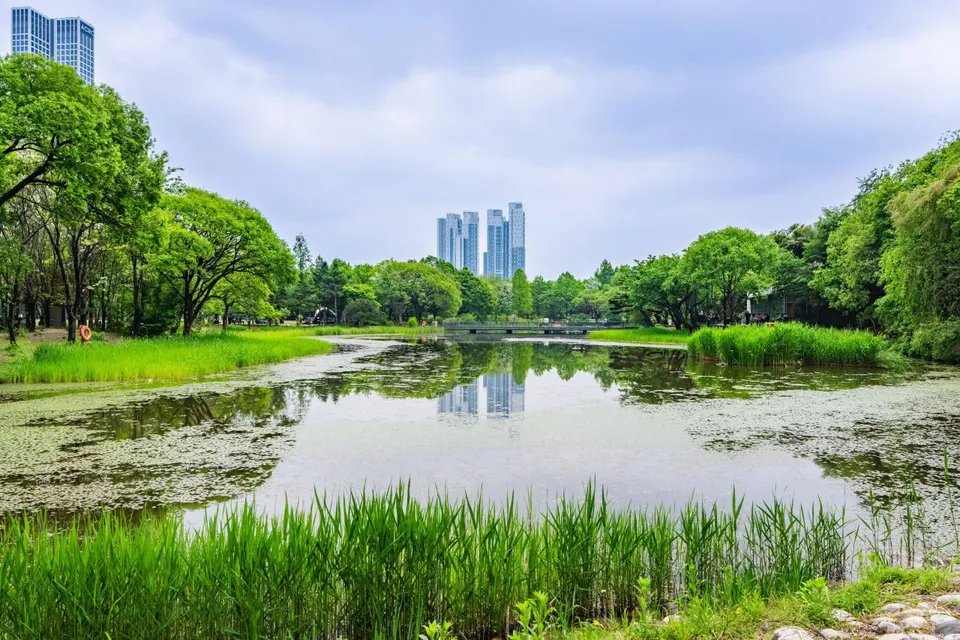 首爾林 — 首爾林的湖泊、水畔植物與建築景色（2025年5月）