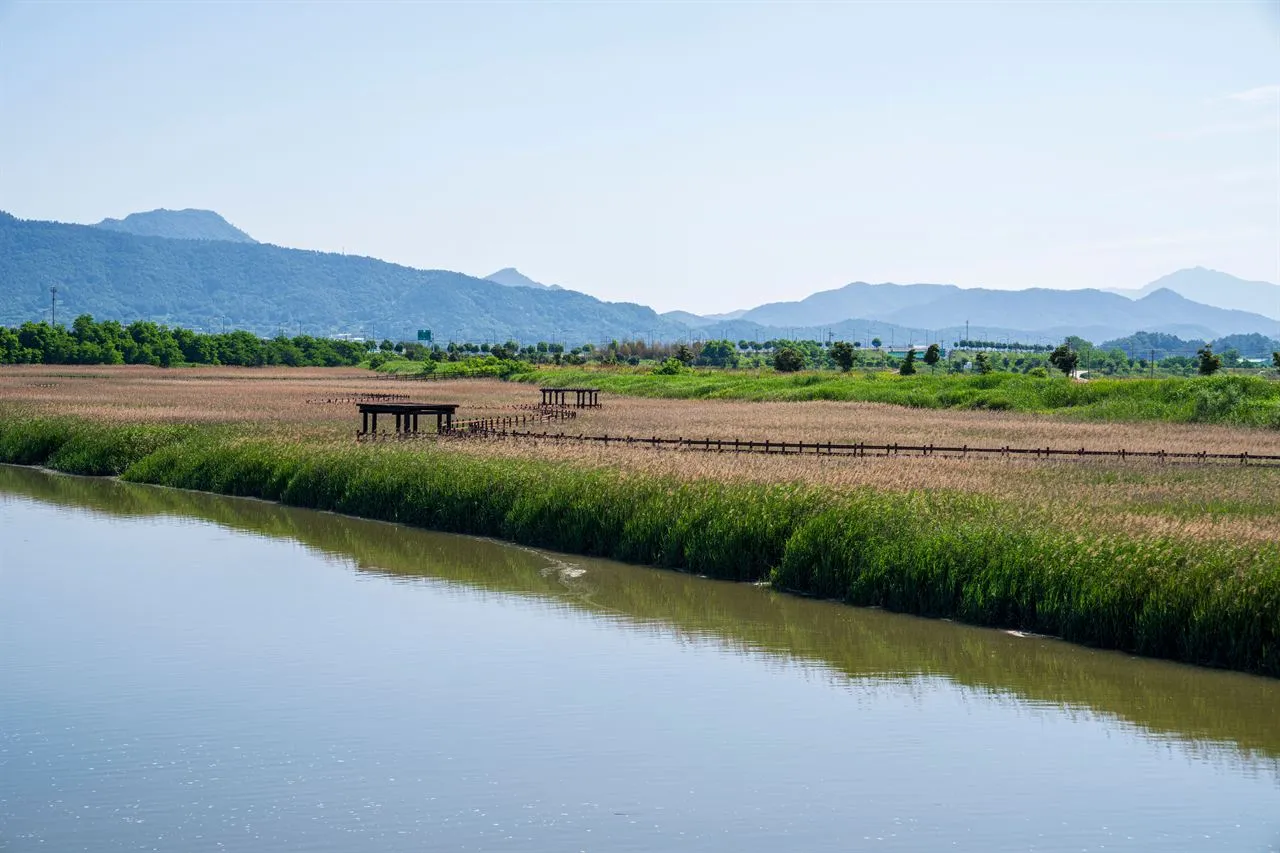 康津灣生態公園 — 濕地水道、蘆葦田與山岳景觀（2025年6月）（照片：韓國觀光公社觀光照片庫・攝影 김지호・公共授權第1類）