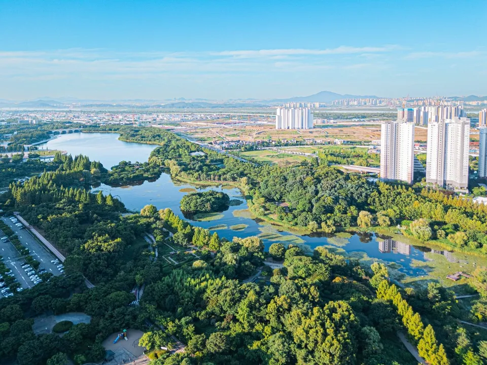 一山湖水公園 — 森林與湖泊相映成趣的公園空拍風景（2025年8月）