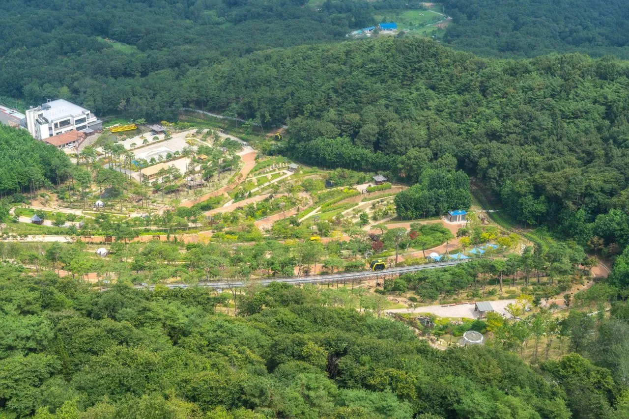 華蓋庭園 — 森林中的華蓋庭園與單軌列車全景（2024年8月）（照片：韓國觀光公社觀光照片庫・攝影 정규진・公共授權第1類）