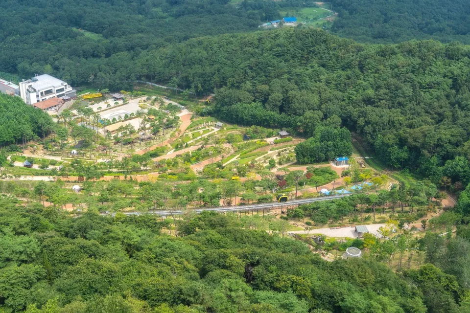 華蓋庭園 — 森林中的華蓋庭園與單軌列車全景（2024年8月）
