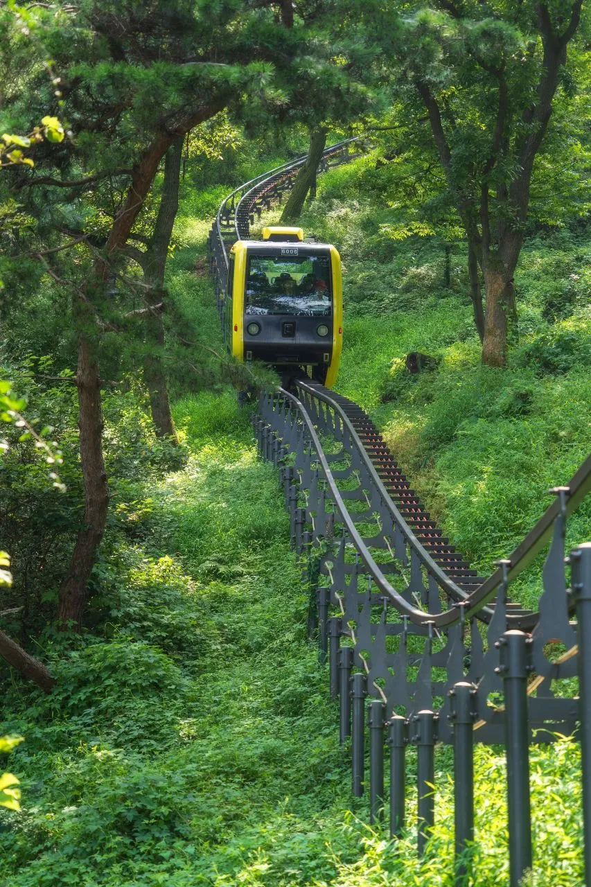 華蓋庭園 — 穿梭於森林中上行的黃色單軌列車（2024年8月）（照片：韓國觀光公社觀光照片庫・攝影 정규진・公共授權第1類）