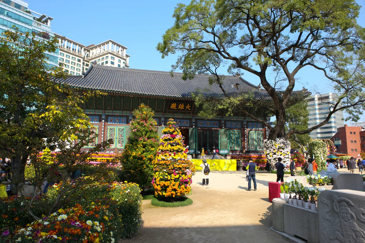 조계사 — 국화로 꾸민 대웅전 앞마당 (2013년 10월) (사진: 한국관광공사 관광사진 갤러리 · 촬영 한국관광공사 김지호 · 공공누리 제1유형)