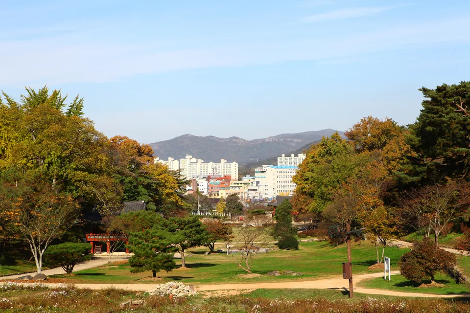 高敞邑城（牟陽城） — 秋色樹木與草坪，遠方可見市區（2014年11月）