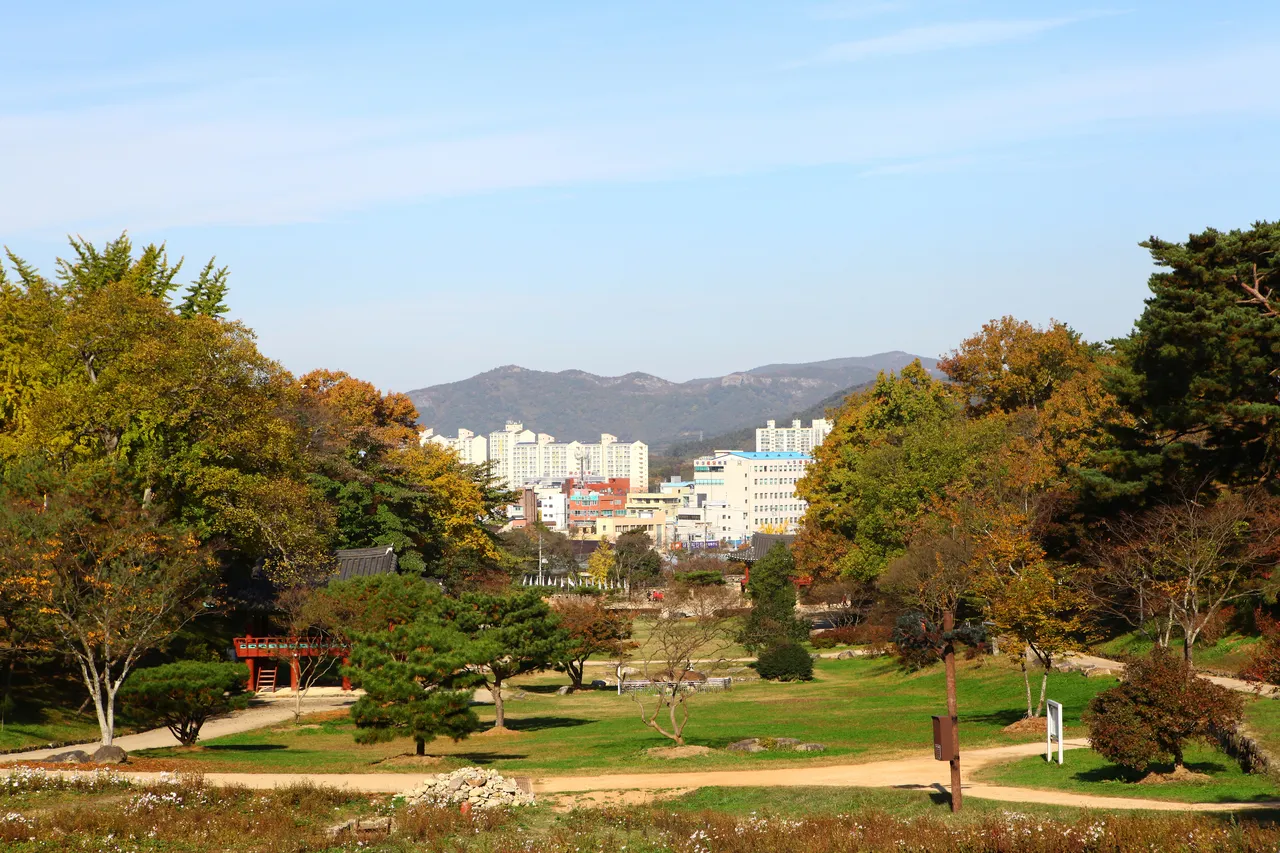 高敞邑城（牟陽城） — 秋色樹木與草坪，遠方可見市區（2014年11月）（照片：韓國觀光公社觀光照片庫・攝影 한국관광공사 이범수・公共授權第1類）