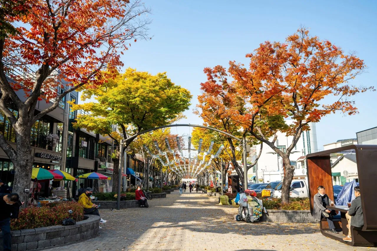 江陵月花街 — 楓紅樹間的散步道（2021年11月）（照片：韓國觀光公社觀光照片庫・攝影 디엔에이스튜디오・公共授權第1類）
