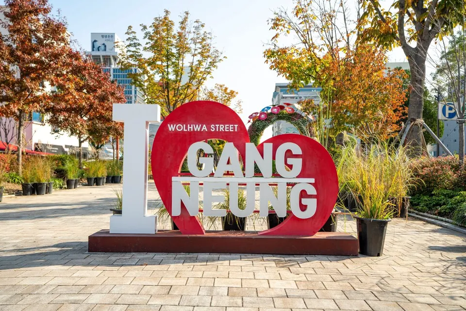 江陵月花街 — 「I ♥ GANGNEUNG」造型與秋天的樹（2021年11月）