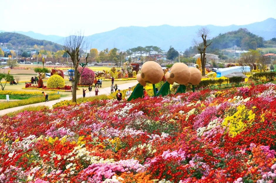 往屆活動 — 有色彩繽紛花田與造景的公園
