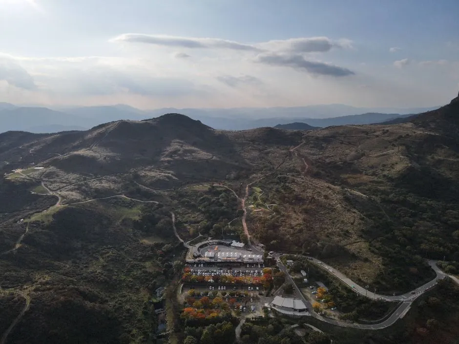 2025年活動 — 俯瞰芒草山脊與山路的全景