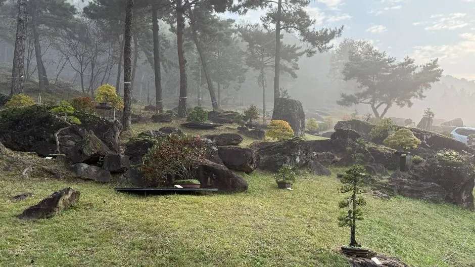 2025年節慶 — 松樹與岩石相映成趣的庭園