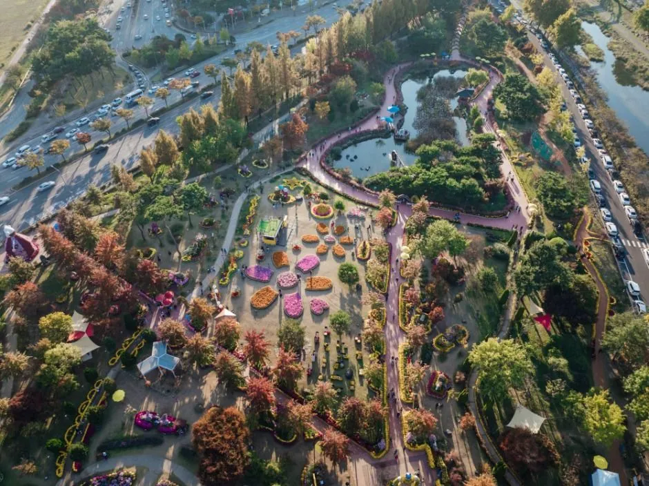 2025年 — 公園內打造的菊花庭園鳥瞰全景(照片:韓國觀光公社・公共授權第3類)