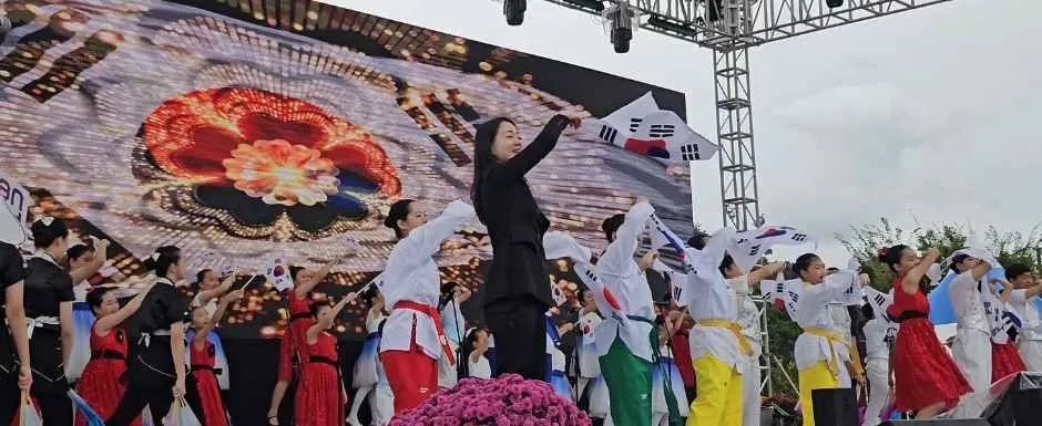 往屆活動 — 手持太極旗在舞台上表演的演出者