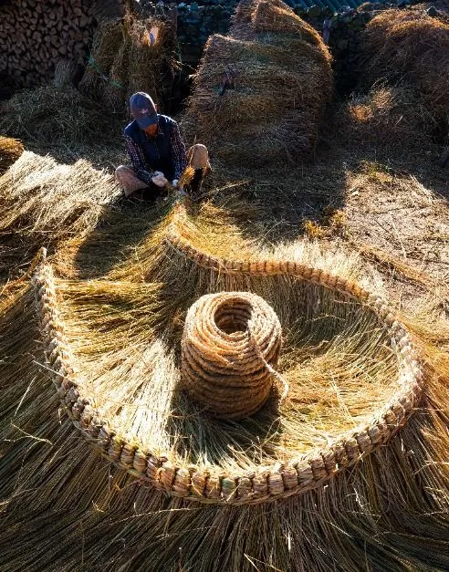 2025年活動 — 用稻草編製籃子的人（照片：韓國觀光公社・公共授權第3類）