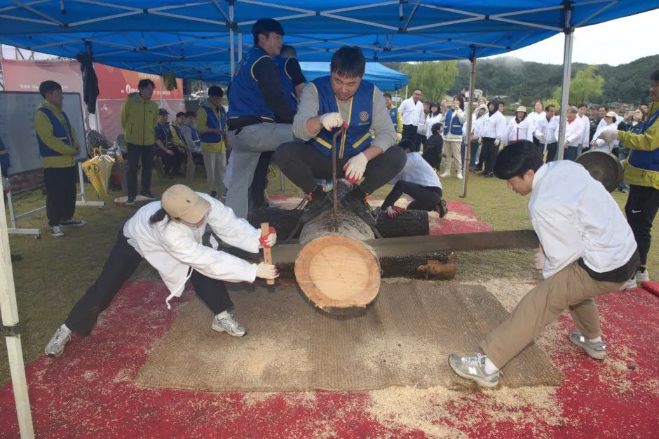 往屆活動 — 參加鋸木體驗的人們