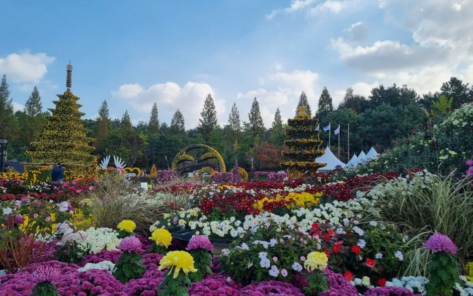往屆活動 — 五彩繽紛的菊花庭園與樹木造型物