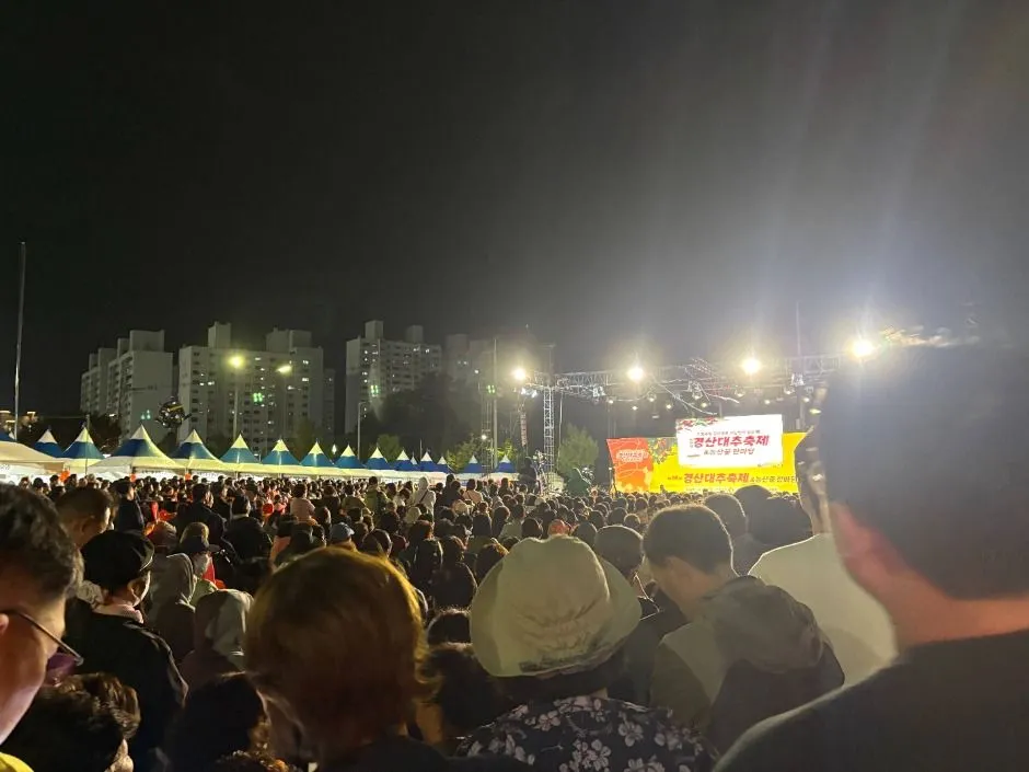2025年節慶 — 觀看夜間表演的人群（照片：韓國觀光公社・公共授權第3類）