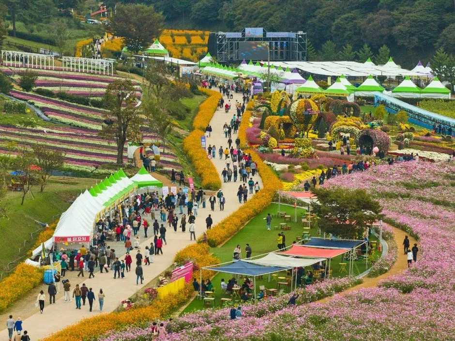 往屆活動 — 花田與活動會場全景（照片：韓國觀光公社・公共授權第3類）