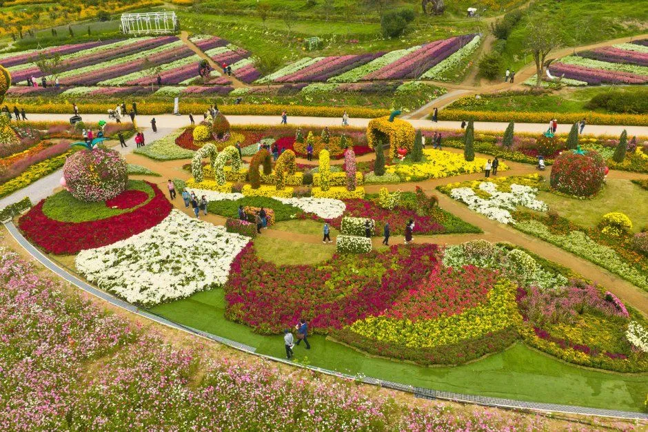 往屆活動 — 山丘上的大型花園
