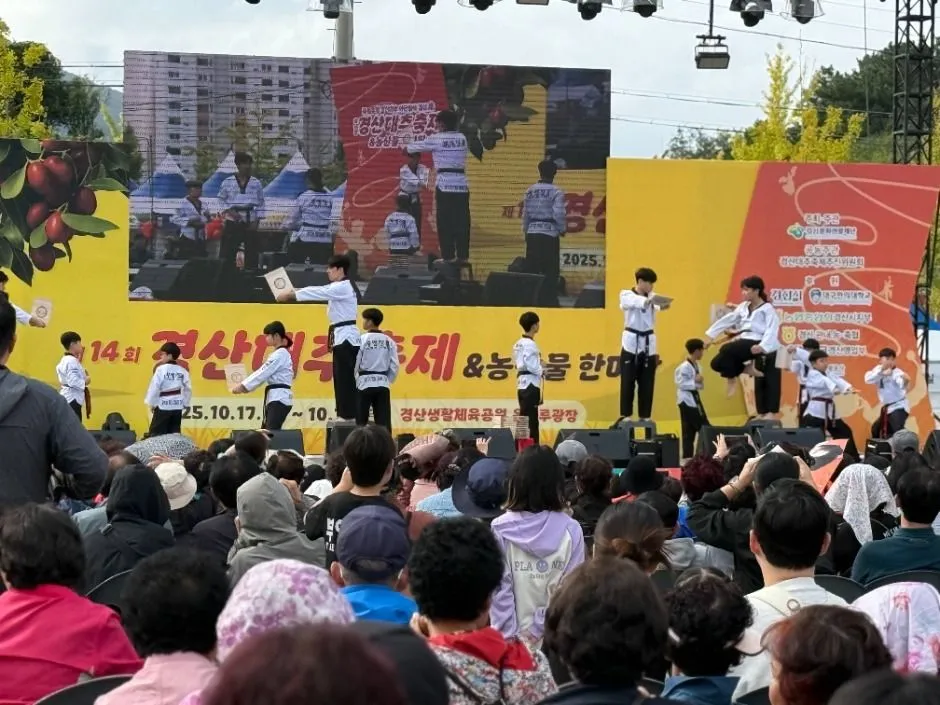 2025年節慶 — 觀看戶外舞台跆拳道表演的觀眾