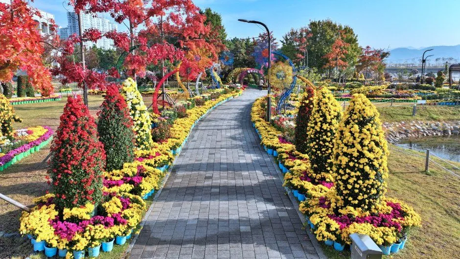 往屆活動 — 以菊花盆栽裝飾的散步道與花園