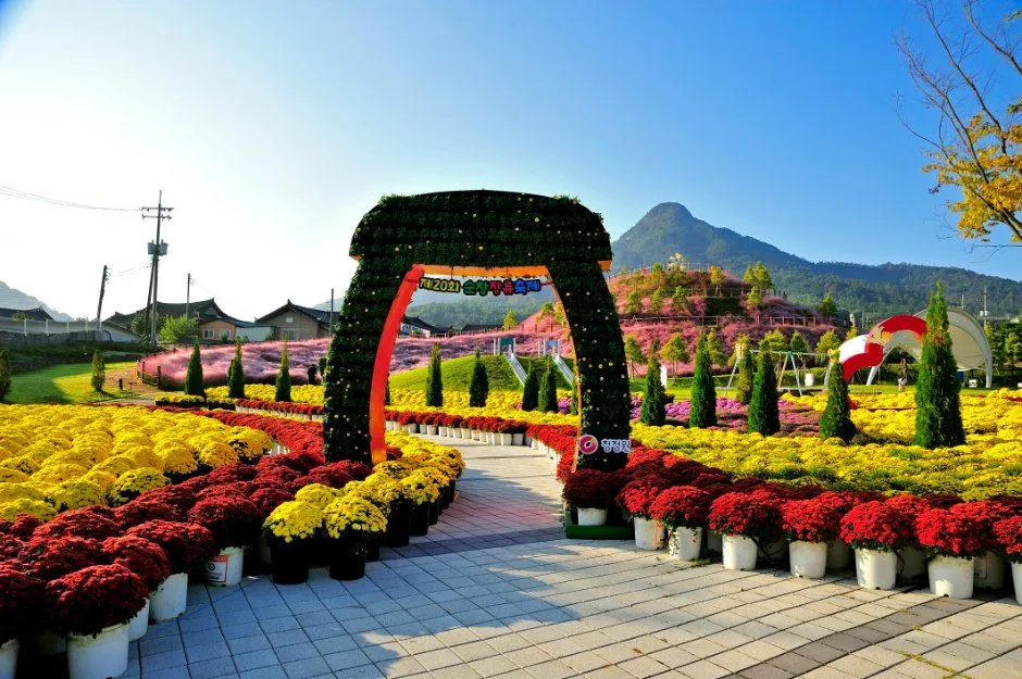 往屆活動 — 有菊花田與慶典裝飾門的庭園