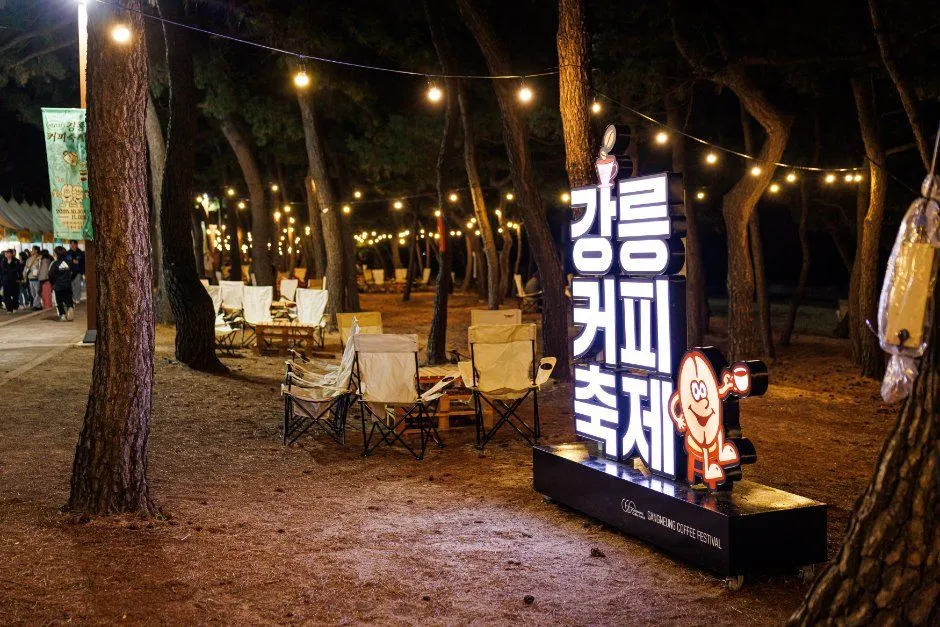 往屆咖啡節夜晚 — 掛滿燈串的松林與「江陵咖啡節」字樣造型