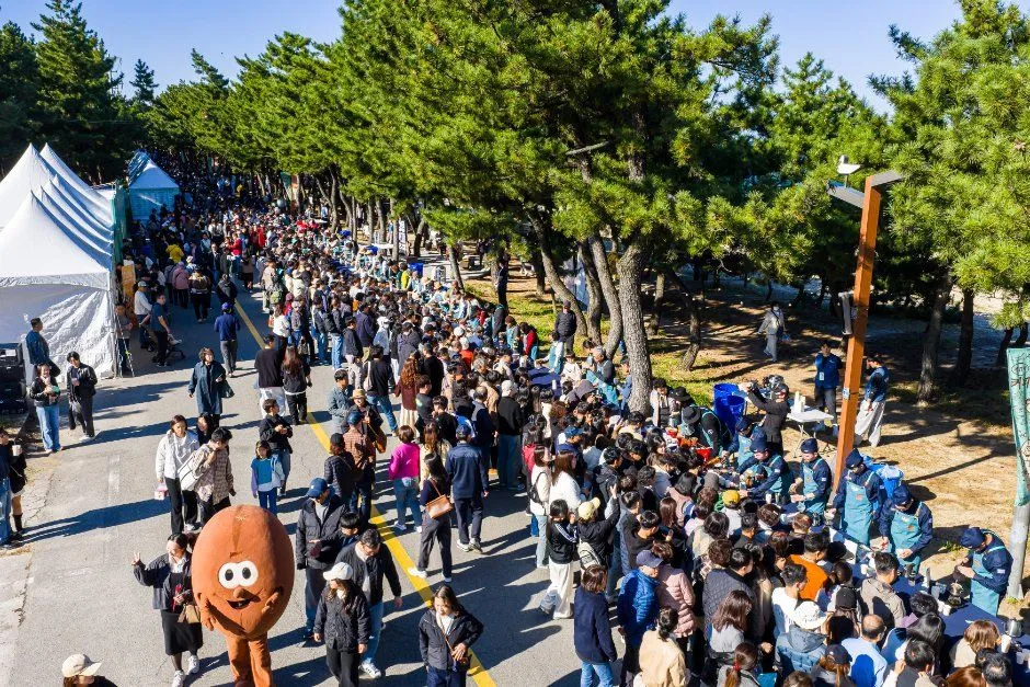 往屆咖啡節 — 帳篷林立的松林道路上擠滿人潮，還有咖啡豆布偶（照片：韓國觀光公社・公共授權第3類）