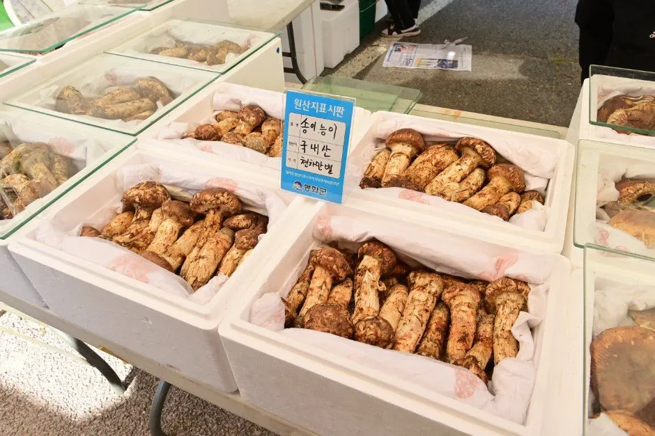 往屆市集 — 一箱箱松茸與原產地標示牌（照片：韓國觀光公社・公共授權第3類）